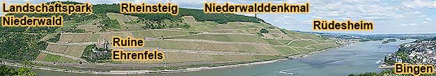 Groe gefhrte Weinwanderung ca. 4 km durch den Landschaftspark Niederwald entlang dem Rheinsteig zum Niederwalddenkmal  und zum Feldtor am Bahnhof Rdesheim am Rhein mit 4 Weinproben im Weinberg